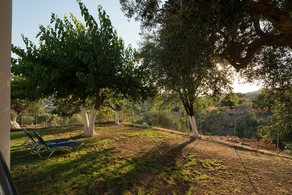 Dallas Studios Sivota  Bagian luar foto